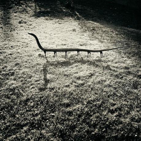 Joan Fontcuberta, exposition à la Maison Européenne de la Photographie, à Paris joanfoncuberta