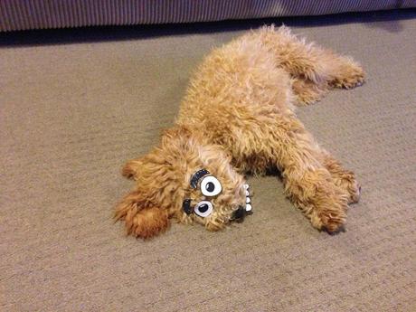 Ecoutes, écoutes...à chacun sa stratégie.... Ecoutes, écoutes...à chacun sa stratégie....