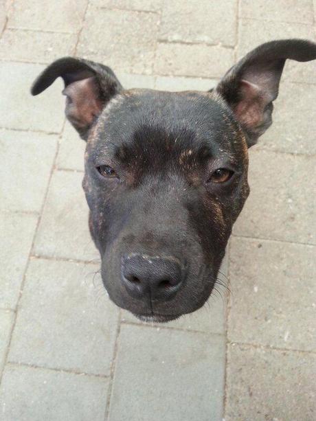 Ecoutes, écoutes...à chacun sa stratégie.... Ecoutes, écoutes...à chacun sa stratégie....