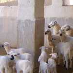 ÉVASION : De l’ agro-tourisme et du dépaysement à Marrakech