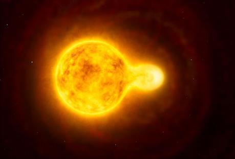 La plus grosse étoile hypergéante jaune jamais observée Illustration du couple d'étoiles quasi fusionnel (cliquez pour agrandir)