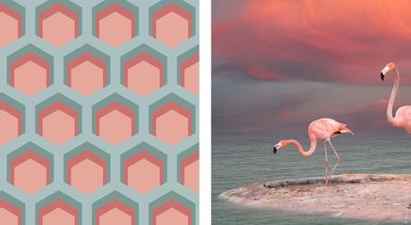 Oh les beaux carreaux beauregardparis5