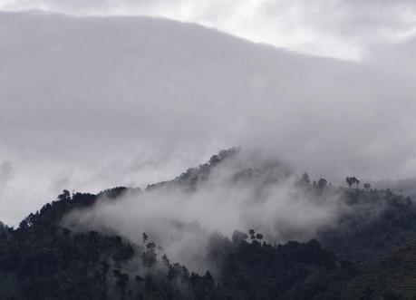 Dieng Dieng