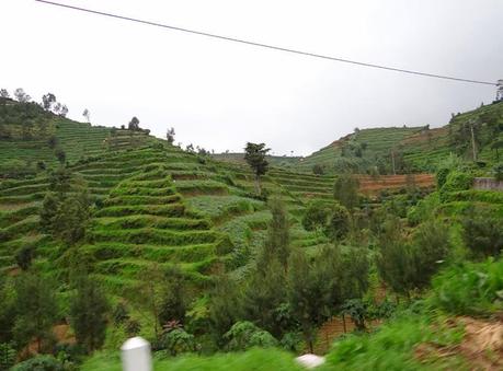 Dieng Dieng