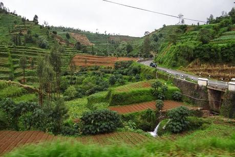 Dieng Dieng