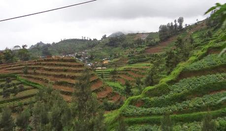Dieng Dieng