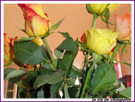 MA TABLE ROSES FRAICHES... ma table roses fraiches-12