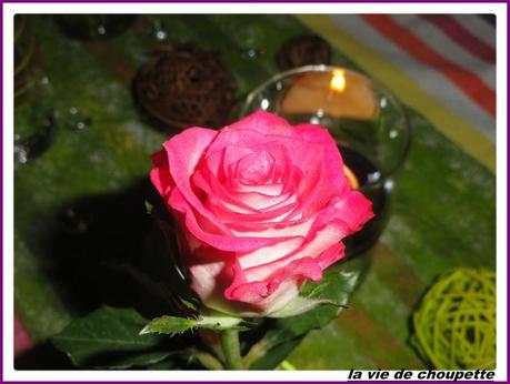 MA TABLE ROSES FRAICHES... ma table roses fraiches-50