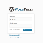 wordpress-login-form1