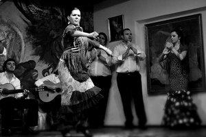 Flamenco by sedats