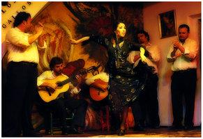 Flamenco-II by sedats