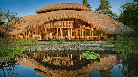 Tombez en amour pour Bali à Ubud avec Teri Johnson The Fivelements à Ubud