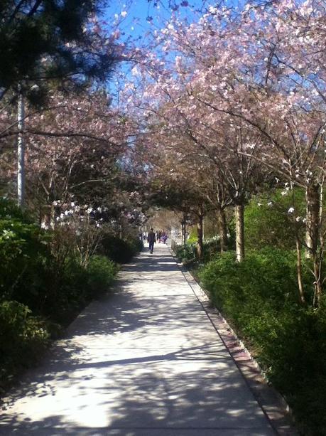 Un printemps aux Batignolles Un printemps aux Batignolles