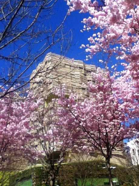 Un printemps aux Batignolles Un printemps aux Batignolles