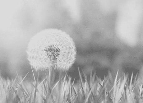Archer's Voice de Mia Sheridan nature