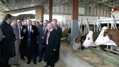 Projet d’élevage bovin en partenariat avec les britanniques (ministre)