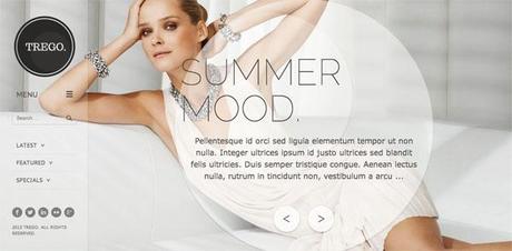 Les 10 themes wordpress e-commerce de qualité Trego wordpress theme