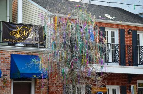 Mes 30 ans pendant Mardi Gras à La Nouvelle-Orléans trees