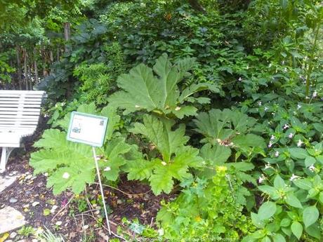 Pénétrer dans le jardin insolite au coeur du Parc Floral (Paris 12) jardin-insolite-parc-floral10_gagaone