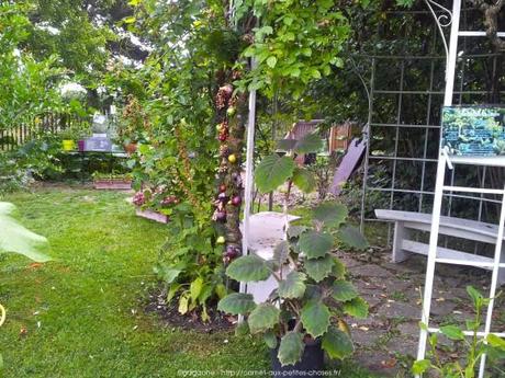 Pénétrer dans le jardin insolite au coeur du Parc Floral (Paris 12) jardin-insolite-parc-floral20_gagaone