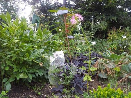 Pénétrer dans le jardin insolite au coeur du Parc Floral (Paris 12) jardin-insolite-parc-floral36_gagaone