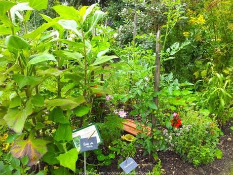 Pénétrer dans le jardin insolite au coeur du Parc Floral (Paris 12) jardin-insolite-parc-floral7_gagaone