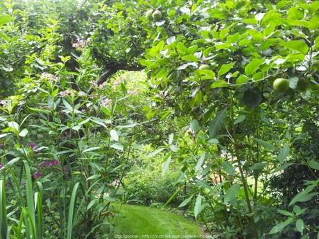 Pénétrer dans le jardin insolite au coeur du Parc Floral (Paris 12) jardin-insolite-parc-floral45_gagaone