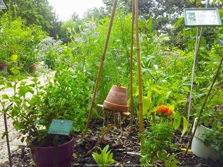 Pénétrer dans le jardin insolite au coeur du Parc Floral (Paris 12) jardin-insolite-parc-floral5_gagaone
