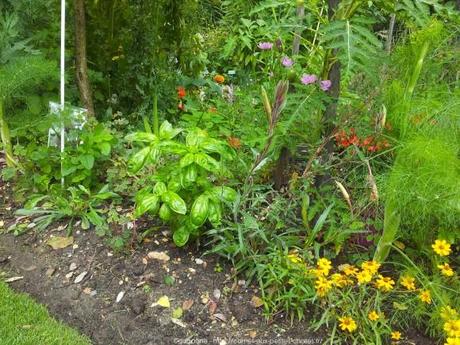 Pénétrer dans le jardin insolite au coeur du Parc Floral (Paris 12) jardin-insolite-parc-floral16_gagaone