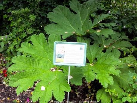 Pénétrer dans le jardin insolite au coeur du Parc Floral (Paris 12) jardin-insolite-parc-floral11_gagaone