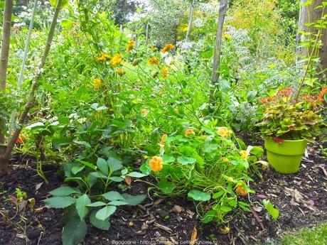 Pénétrer dans le jardin insolite au coeur du Parc Floral (Paris 12) jardin-insolite-parc-floral4_gagaone
