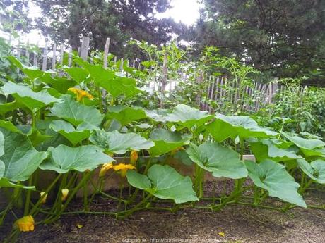 Pénétrer dans le jardin insolite au coeur du Parc Floral (Paris 12) jardin-insolite-parc-floral30_gagaone