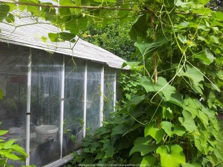 Pénétrer dans le jardin insolite au coeur du Parc Floral (Paris 12) jardin-insolite-parc-floral41_gagaone