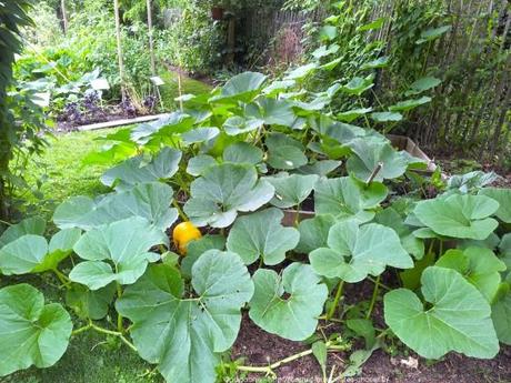 Pénétrer dans le jardin insolite au coeur du Parc Floral (Paris 12) jardin-insolite-parc-floral25_gagaone