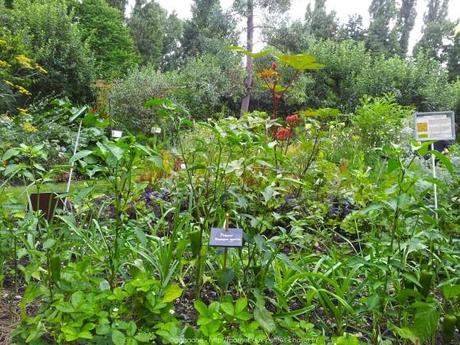 Pénétrer dans le jardin insolite au coeur du Parc Floral (Paris 12) jardin-insolite-parc-floral34_gagaone