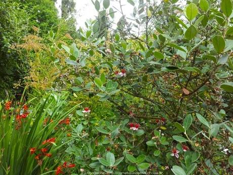 Pénétrer dans le jardin insolite au coeur du Parc Floral (Paris 12) jardin-insolite-parc-floral15_gagaone