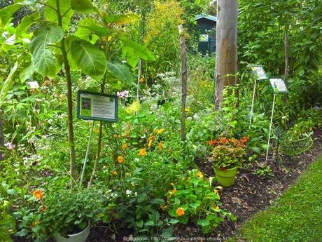 Pénétrer dans le jardin insolite au coeur du Parc Floral (Paris 12) jardin-insolite-parc-floral47_gagaone