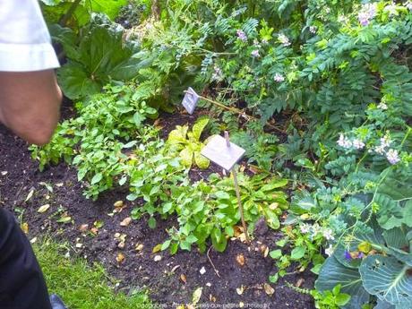 Pénétrer dans le jardin insolite au coeur du Parc Floral (Paris 12) jardin-insolite-parc-floral13_gagaone