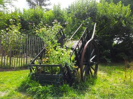 Pénétrer dans le jardin insolite au coeur du Parc Floral (Paris 12) jardin-insolite-parc-floral49_gagaone