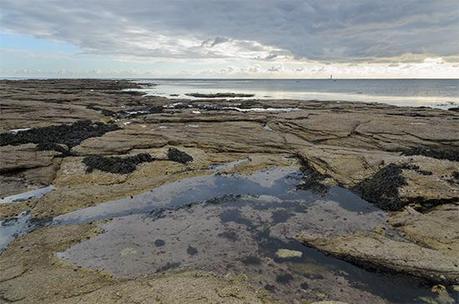 Une mare au Guilvinec Une mare au Guilvinec