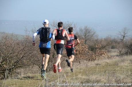 Trail du Petit Ballon 2014: LES BRONZES FONT DU TRAIL Trail du Petit Ballon 2014: LES BRONZES FONT DU TRAIL