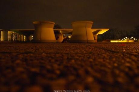 Visite du Reichstag en nocturne et balade architecturale dans le quartier du Gouvernement à Berlin autour-du-reichstag-en-nocturne-20_gagaone