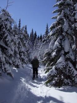 Une balade en raquette 032.JPG