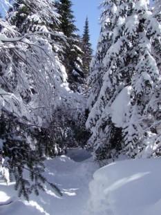 Une balade en raquette 021.JPG