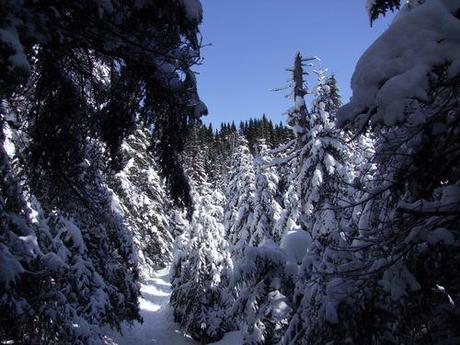 Une balade en raquette 014.JPG