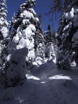 Une balade en raquette 029.JPG