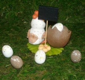 P'tite poule DSCN6332