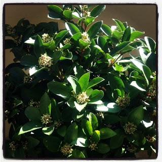 Un peu de moi sur Instagram ... Ma semaine en photos ! Part XXXII Un peu de moi sur Instagram ... Ma semaine en photos ! Part XXXII