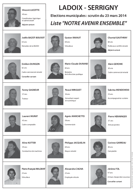 conseil 2014 Le nouveau conseil municipal de Ladoix Serrigny 2014