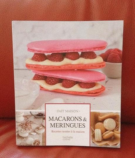 Cygnes en pâte à choux livre de recette